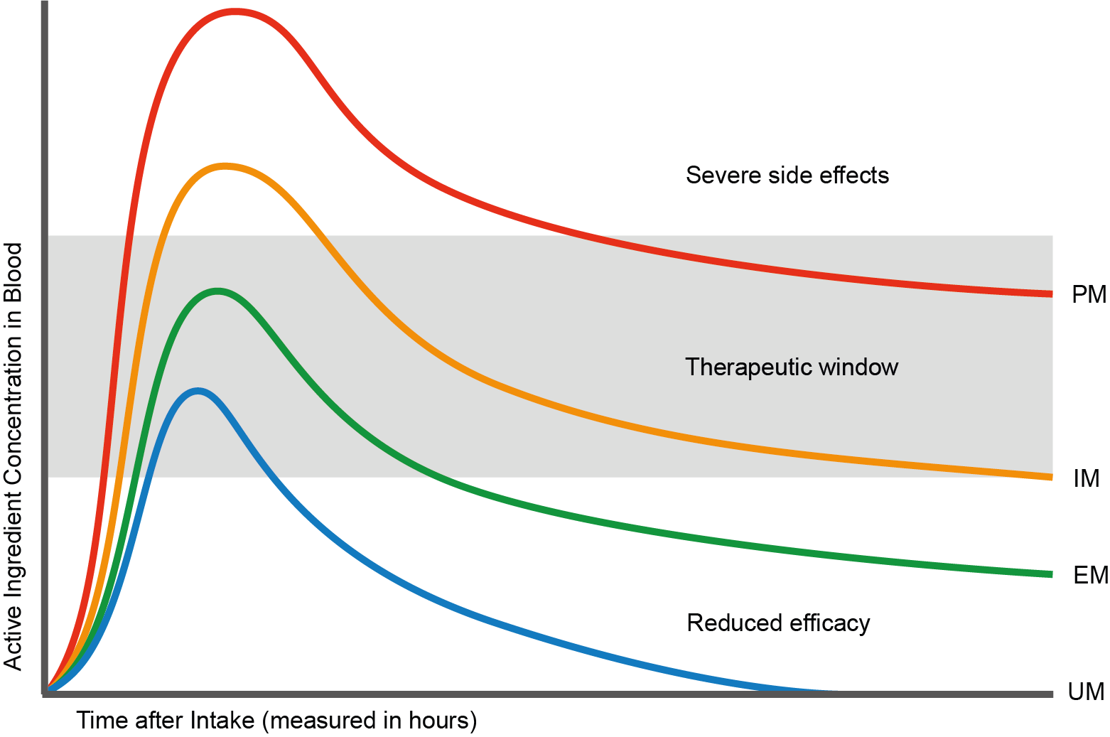 Tipos de metabolización